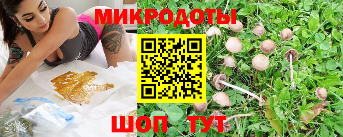 Звенигород  Псилоцибиновые грибы Psilocybine cubensis  Вход с VPN 